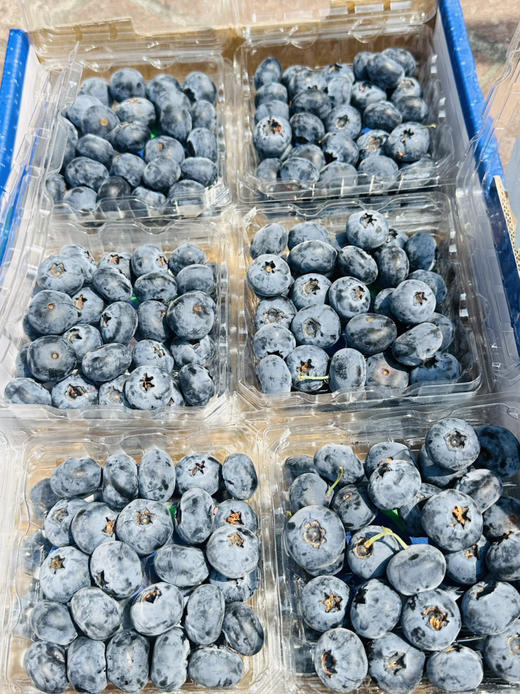花香脆星空蓝莓  22+大蓝莓 商品图1