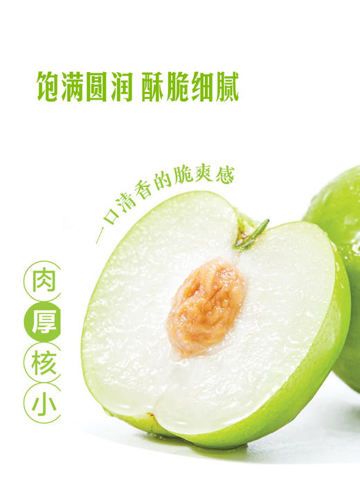 MM 山姆 苹果枣 2kg 商品图2