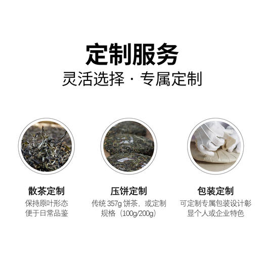 【春茶定制】元昌号2026年头春古树纯料定制 公斤价 商品图2