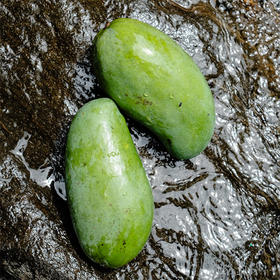 【自营】大青芒5斤/9斤（单果约400g+)规格可选