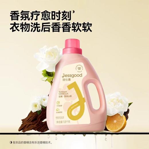 T洁仕嘉1.8Kg山茶香氛净护洗衣液 商品图1