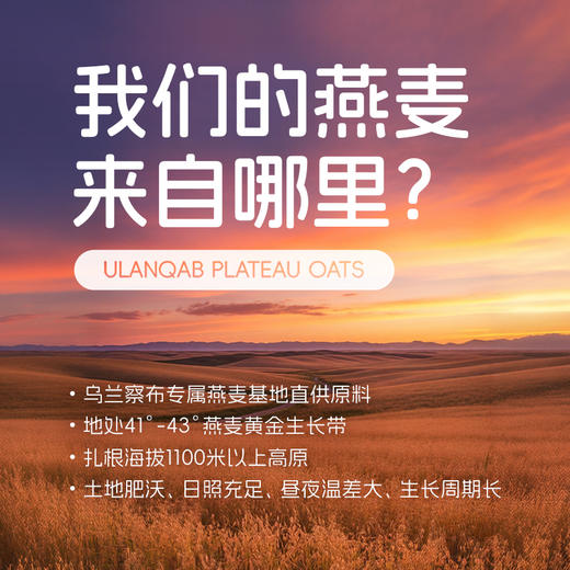 【非常麦&晶花】咖啡大师燕麦奶 206g/盒*24盒（品牌直发） 商品图3