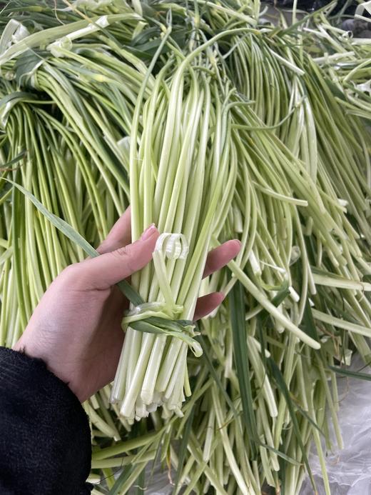 合作｜酵素蒜薹 500g 商品图1