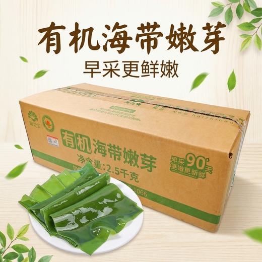 有机盐渍深海嫩海带 商品图9