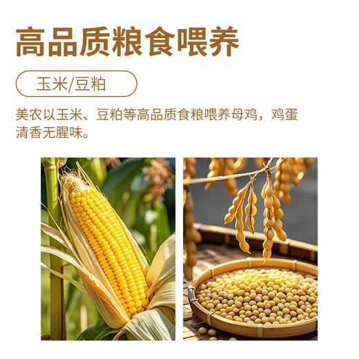 西域美农 鸡蛋年卡，牛奶年卡。    鸡蛋30枚/箱，  牛奶200ml*20盒/箱 商品图2