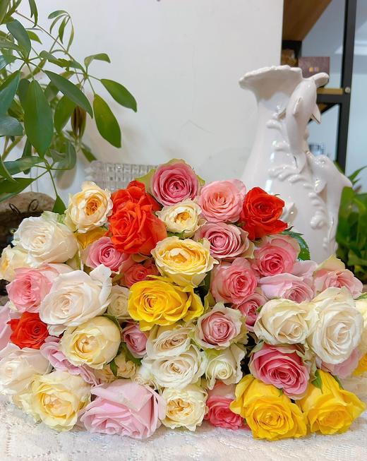 【就这几份】方德混色单头玫10支+奶油桃子大丽花5支/份    玫瑰为无土栽培品长约50cm 商品图1