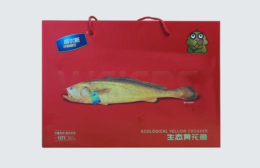 【门店同款】生态黄花鱼（500g*4/提） 商品图0