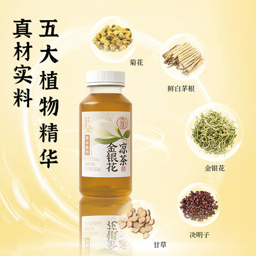 🔥轻上小青甘金银花凉茶植物饮料245ml*10瓶 商品图7