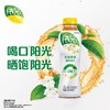 可口可乐500ml阳光无糖茉莉花茶 商品缩略图1