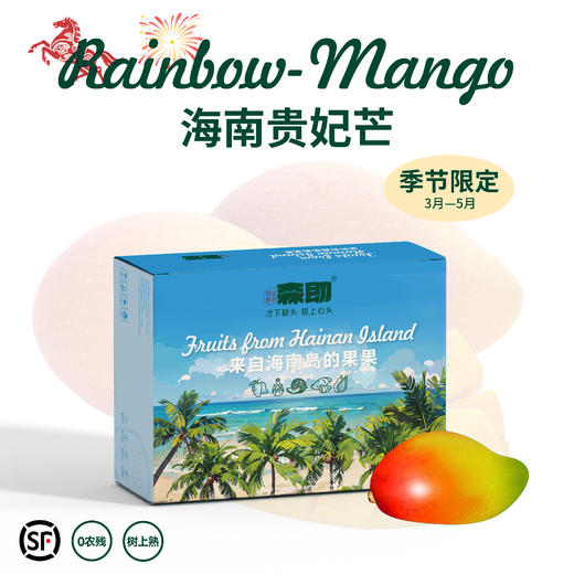 【树上自然熟 肉厚核小】海南贵妃芒 果肉细腻 甜美多汁 3-5天发货 商品图5