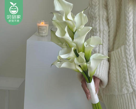 白色马蹄莲（长约60cm*10支/扎） 商品图4