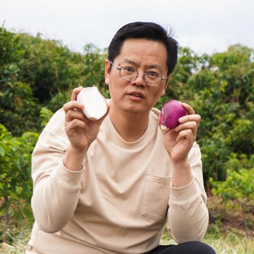 生态水果紫洋葱丨生态标准种植，原生态，清脆爽口⭐️顺丰快递 商品图4