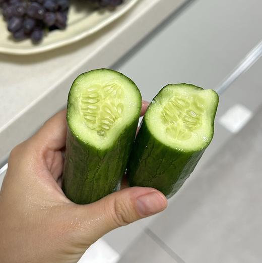 【斌哥优选】水果黄瓜。新鲜采摘，皮薄籽少，直接生吃不涩口。减肥界里的常备选手。强烈推荐啊。 商品图4