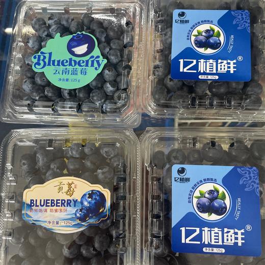 蓝莓亿植鲜125克/盒12盒/件 商品图0