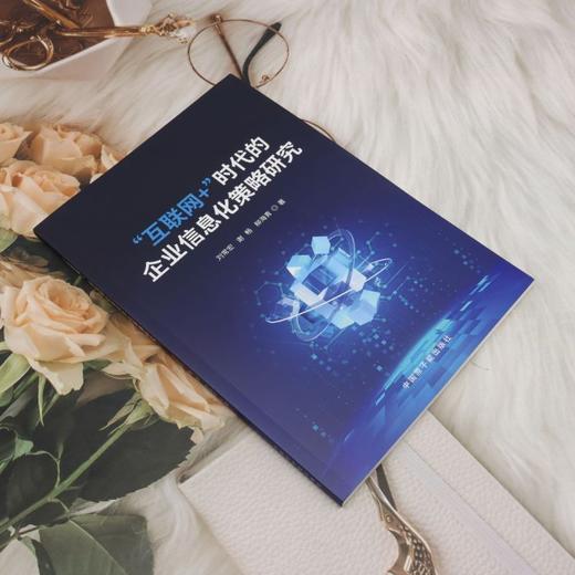 互联网 时代的企业信息化策略研究 商品图1