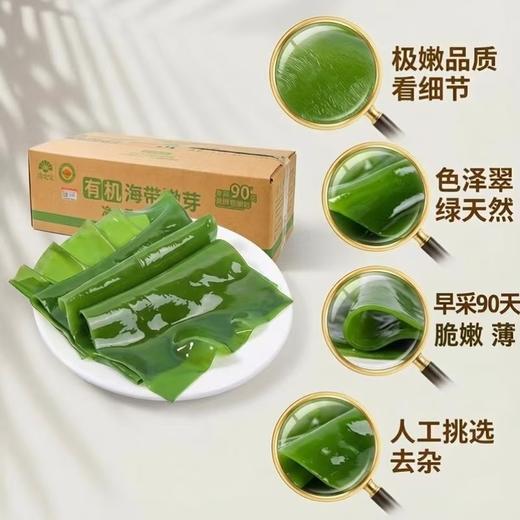 有机盐渍深海嫩海带 商品图10