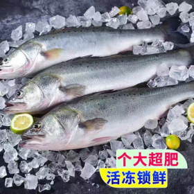【门店同款】生态海鲈鱼（500g*4/提）
