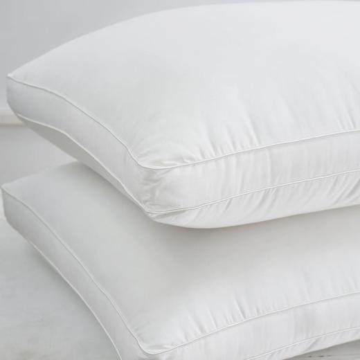 10楼 富安娜 赛娜超细纤维枕2只装,  白 70cm*45cm 吊牌价 599元  活动价99元一对 商品图3