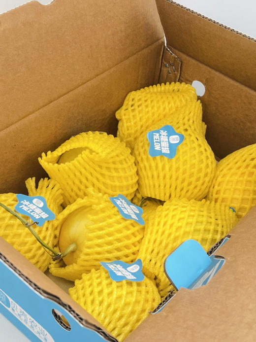 小甜瓜 儿时小香瓜 香味十足 皮薄且脆 商品图2