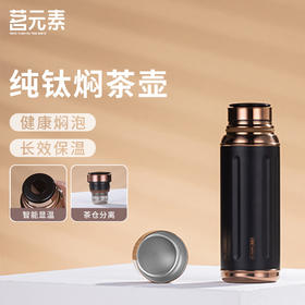 小钢炮2.0/金银时代/内钛焖茶杯金典黑PA