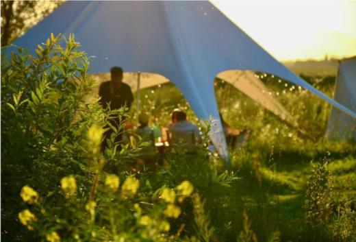 【暑期盛夏伊犁房车亲子营】--早鸟拼团立减1000！ 商品图8