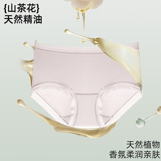 【39元4条，请拍4条，单拍不发】山茶花天然竹纤维轻盈蕾丝女士内裤-606 商品图11