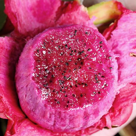 【自营】广西金都红心火龙果3斤/5斤 多规格可选 商品图4