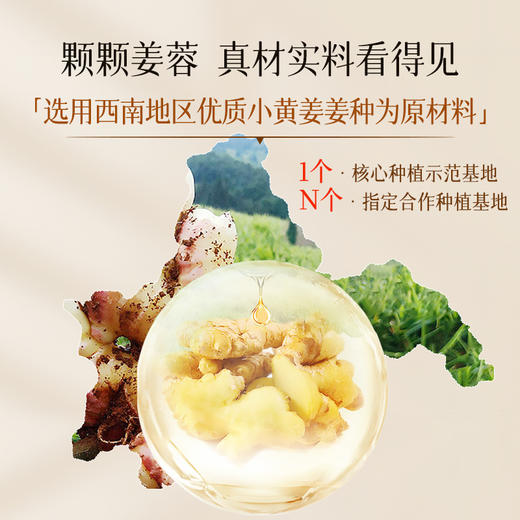 上新福利【2件59元】防脱育发洗发露353ml定制款 商品图3