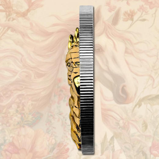 2026喀麦隆马年纪念币 3D立体金马颜值炸裂！带透明外罩、射灯包装盒证书 商品图3