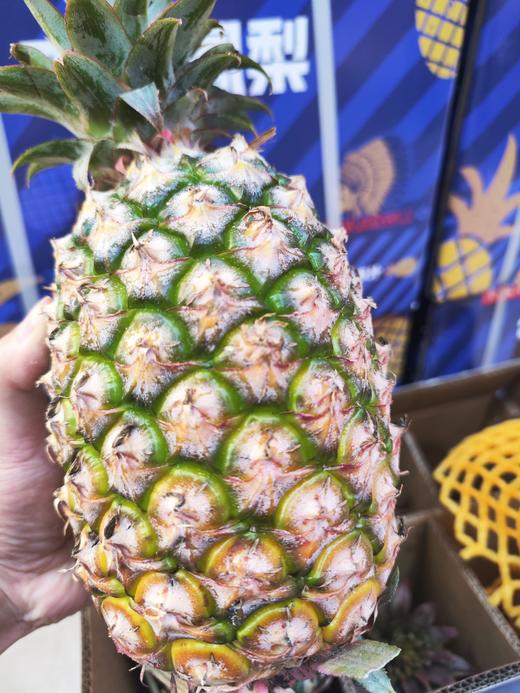 【爆品回归】树上熟古法凤梨/玫瑰凤梨，几乎纯甜，香味浓，青皮带一丝黄也好吃，连中间的心都是甜的！ 商品图9