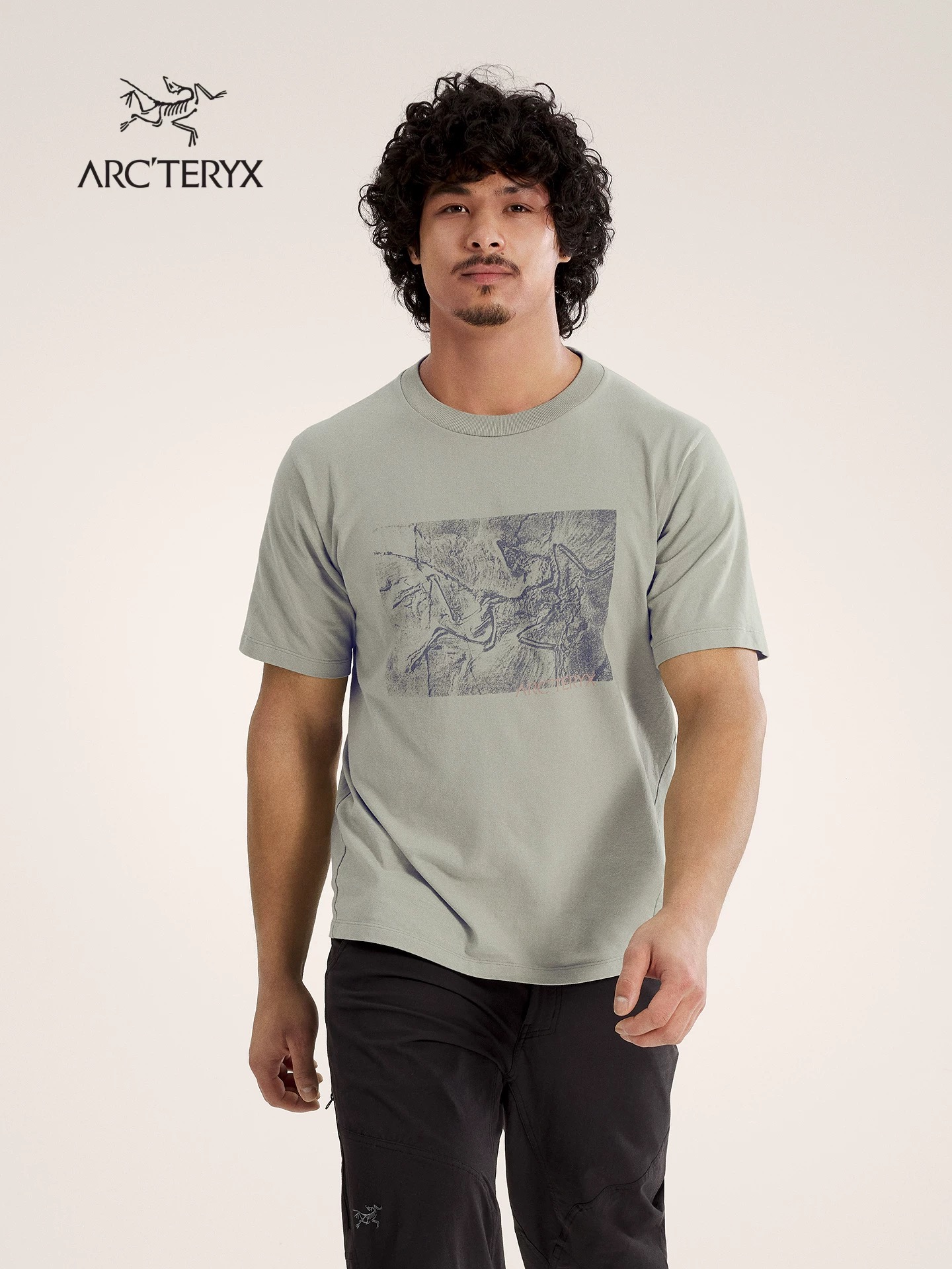 鸟 化石鸟印花棉质圆领短袖T恤 特惠 Z-15915