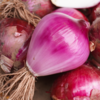 生态水果紫洋葱丨生态标准种植，原生态，清脆爽口⭐️顺丰快递 商品缩略图5