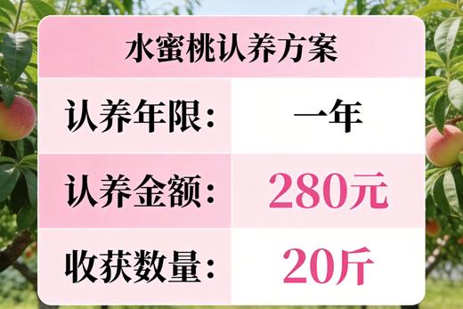 【东滩绿港】果树认养一株（1年） 商品图4