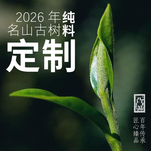 【春茶定制】元昌号2026年头春古树纯料定制 公斤价 商品图0