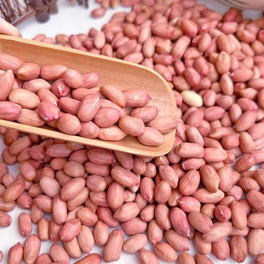 淘牧花生 1kg新花生米农家新鲜白商用新货大粒榨油大颗粒散装精选 商品图3