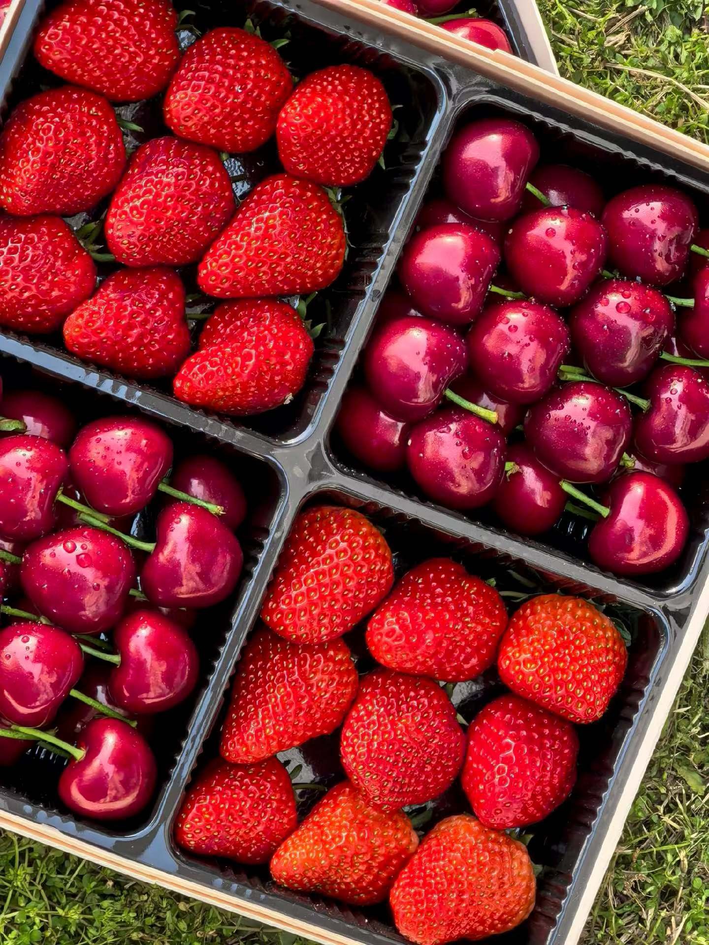 果礼（二级果➕草莓）