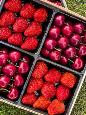 果礼（二级果➕草莓）