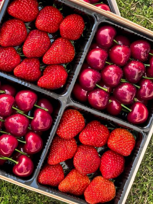 果礼（二级果➕草莓） 商品图0