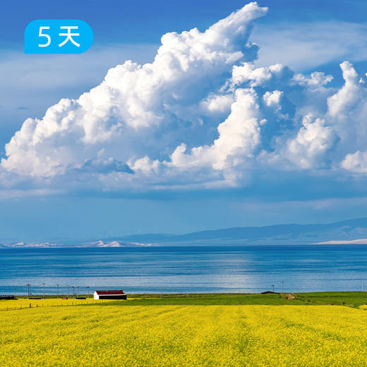 环青海湖骑行｜4+2豪华保障 此生必去 360公里环湖挑战 5日 商品图2