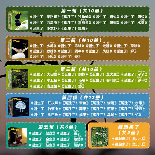 生命的故事1-5辑大全辑 商品图1