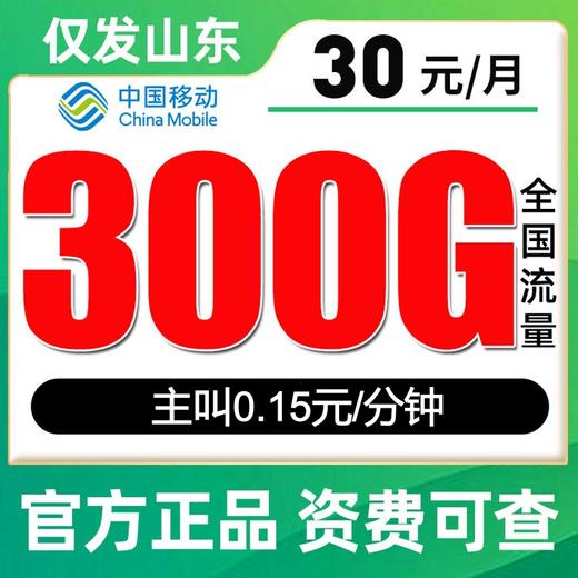 【仅发山东】移动30元300G流量 通话0.15 商品图0