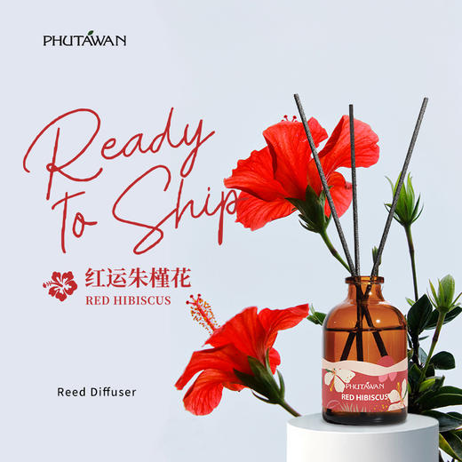 PHUTAWAN普达湾泰国香薰精油室内香薰伴手礼节日礼物 商品图2