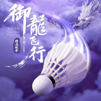 川崎（KAWASAKI）羽毛球真龍800稳定耐打进阶比赛训练用球12只装 商品图5