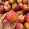 【自营】新疆樱桃苹果4斤 顺丰包邮 商品缩略图2