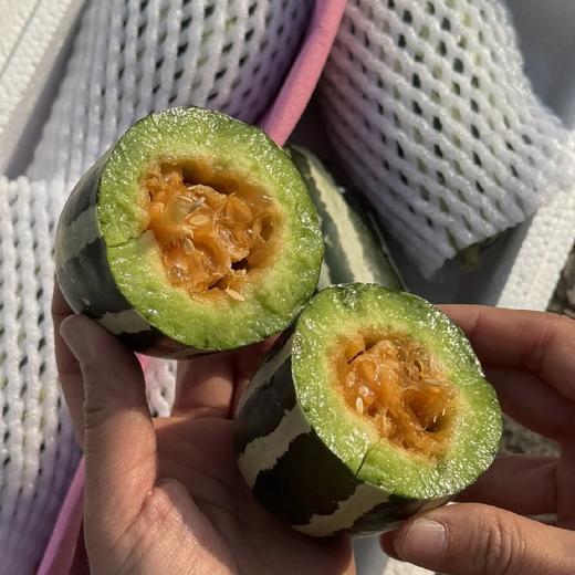 【包邮】连皮带籽一起吃~【博洋蜜瓜】(净重约3斤)~源头直采，当你见到它的时候我们已经淘汰90%的歪瓜裂枣，一颗甜蜜脆爽的甜瓜，承包这个春天的绿意香甜！脆嫩无渣又带有特有香气！ 商品图1