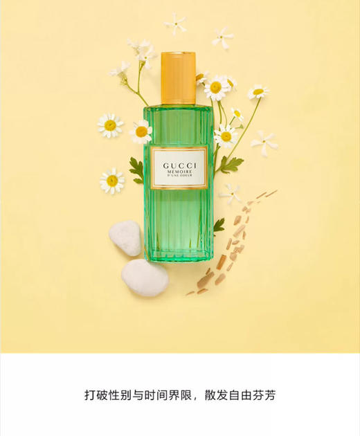 3614225307881	古驰GUCCI 古驰 追忆/气味记忆香水40ml 复古精致 节日礼物【40ml】 商品图1