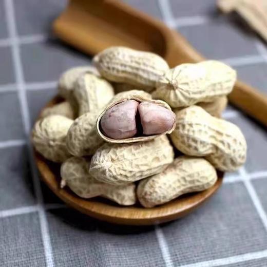 【福利❗️19.9/500g🔥奶香/蒜香/核桃味花生】休闲解馋坚果零食，颗粒饱满果肉厚实，口感香酥可口，下酒菜花生米带壳零食，散装坚果代发干果五香花生L 商品图3