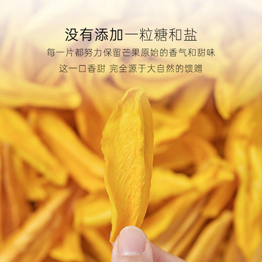 几分之几 原味芒果干 自然成熟 低温烘焙 100g/袋 商品图3