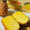 【美味水果丨海南金钻凤梨3个装】香甜中夹杂着一丝酸爽，肉质脆嫩鲜爽，果肉饱满细腻，甜蜜多汁，人工精心筛选后寄出 商品缩略图1