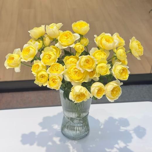 黄色多头玫瑰10枝 商品图2
